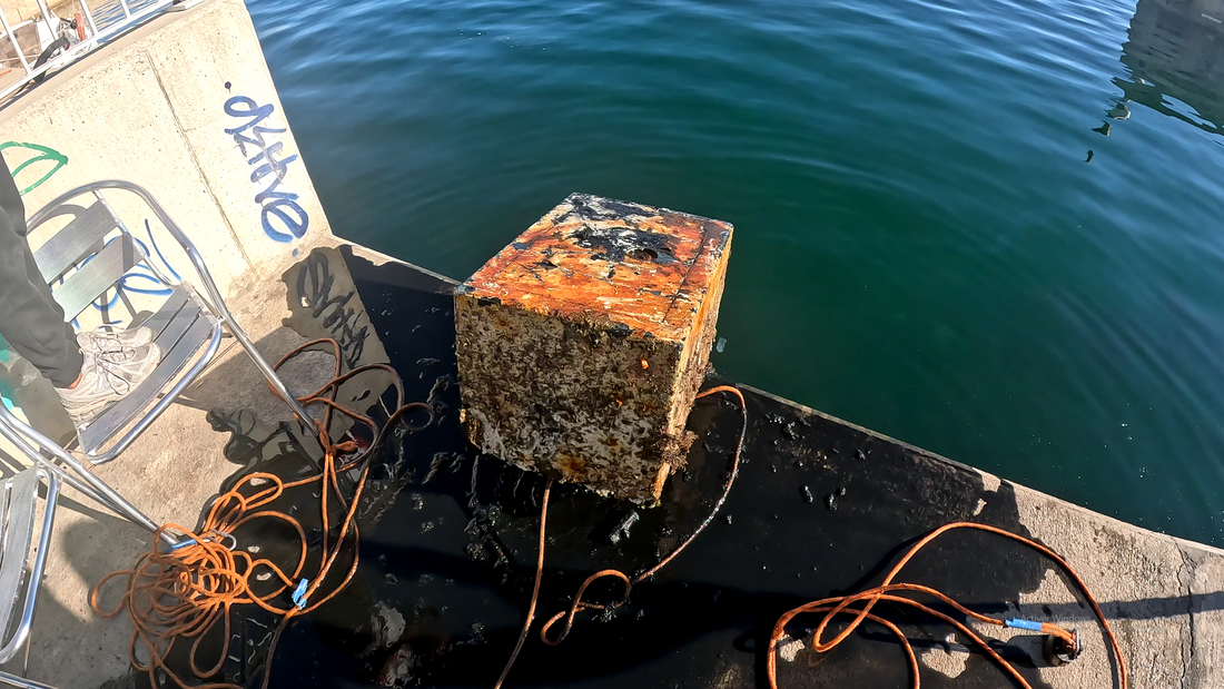 Une pépite d'or dans le port de Marseille !